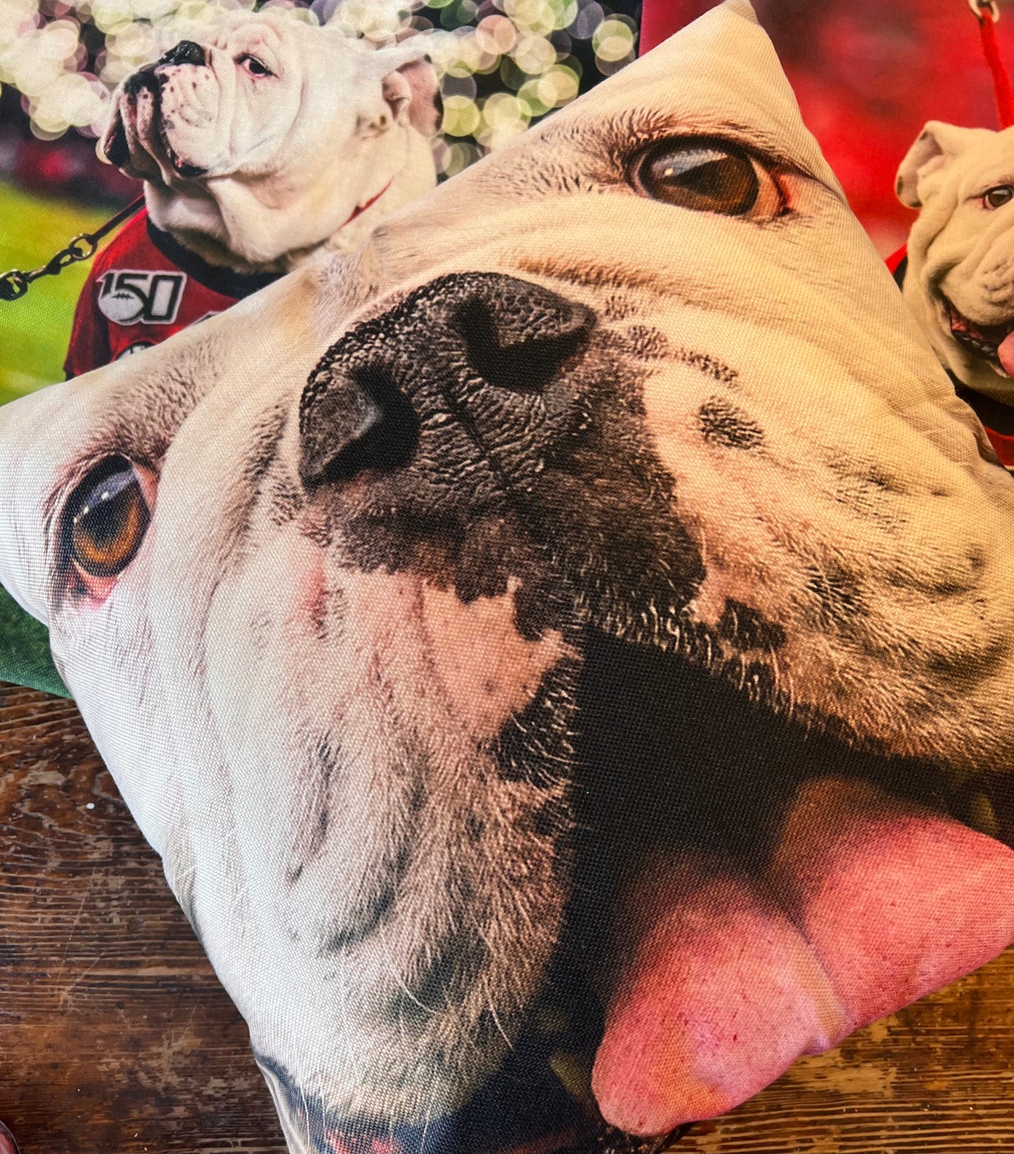 Uga X Mascot Closeup 18x18" Throw Pillow Cover - Indoor/Outdoor