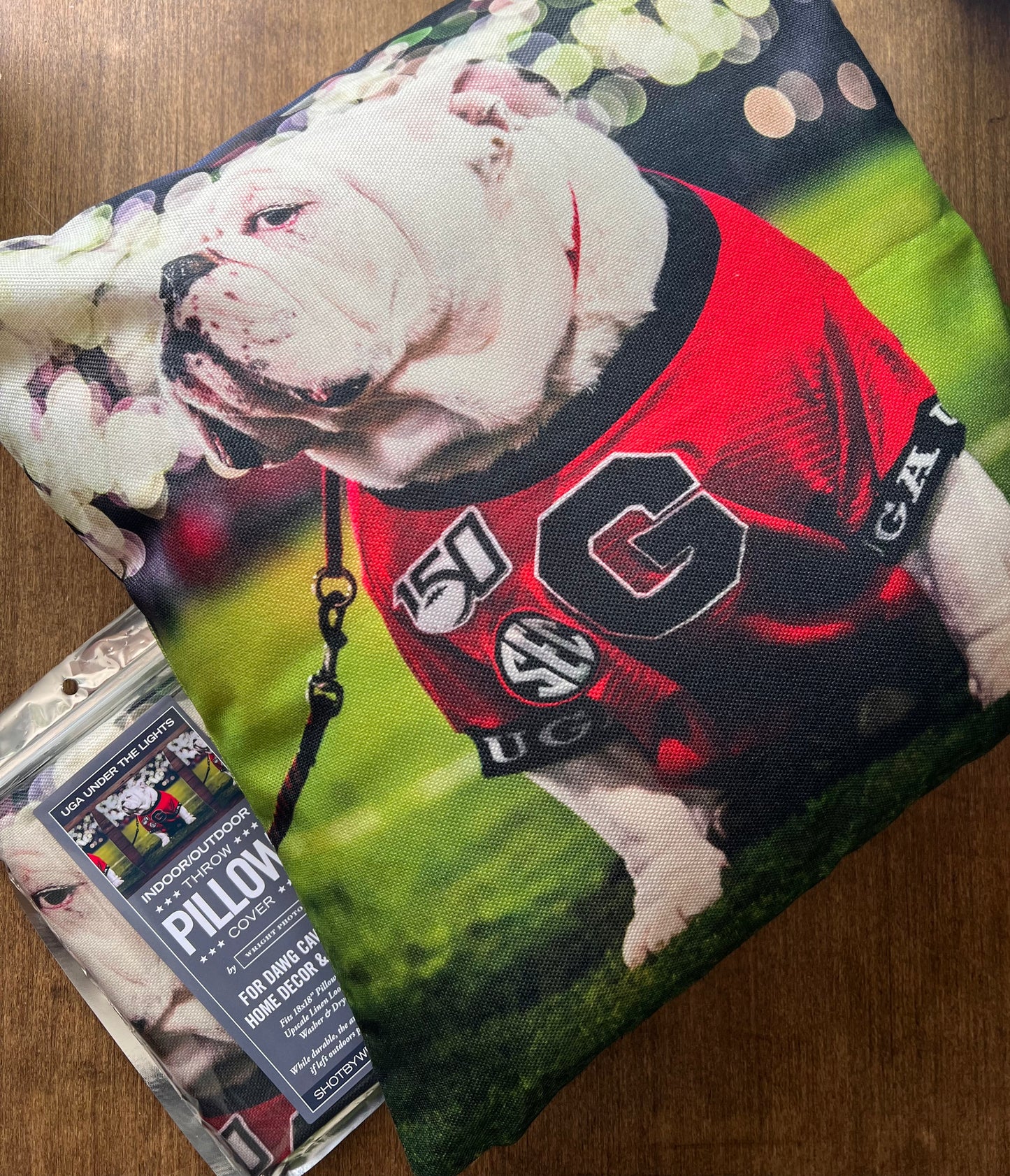 Uga X Under the Lights Mascot 18x18" Throw Pillow Cover - Indoor/Outdoor