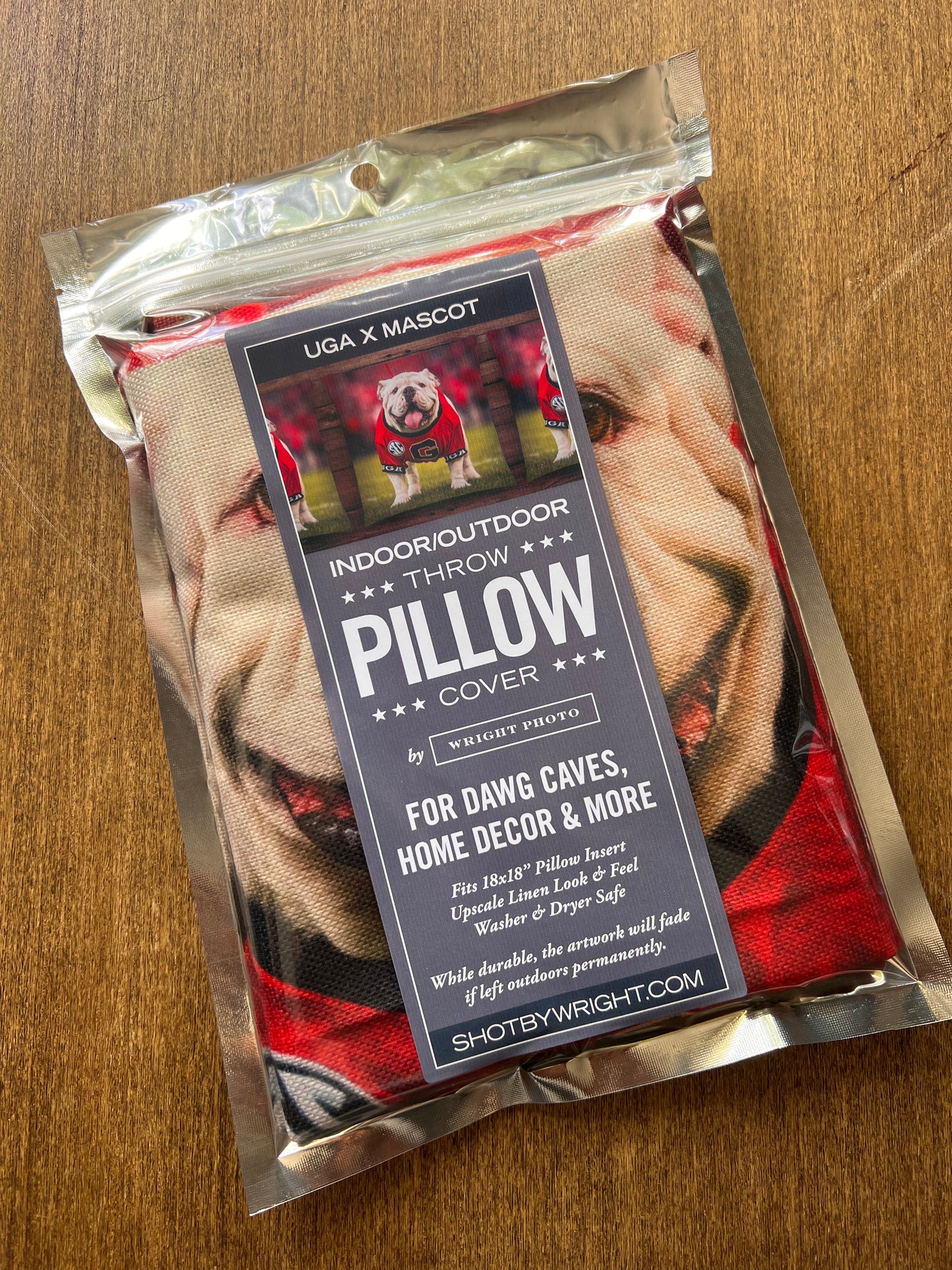 Uga X Mascot 18x18" Throw Pillow Cover - Indoor/Outdoor