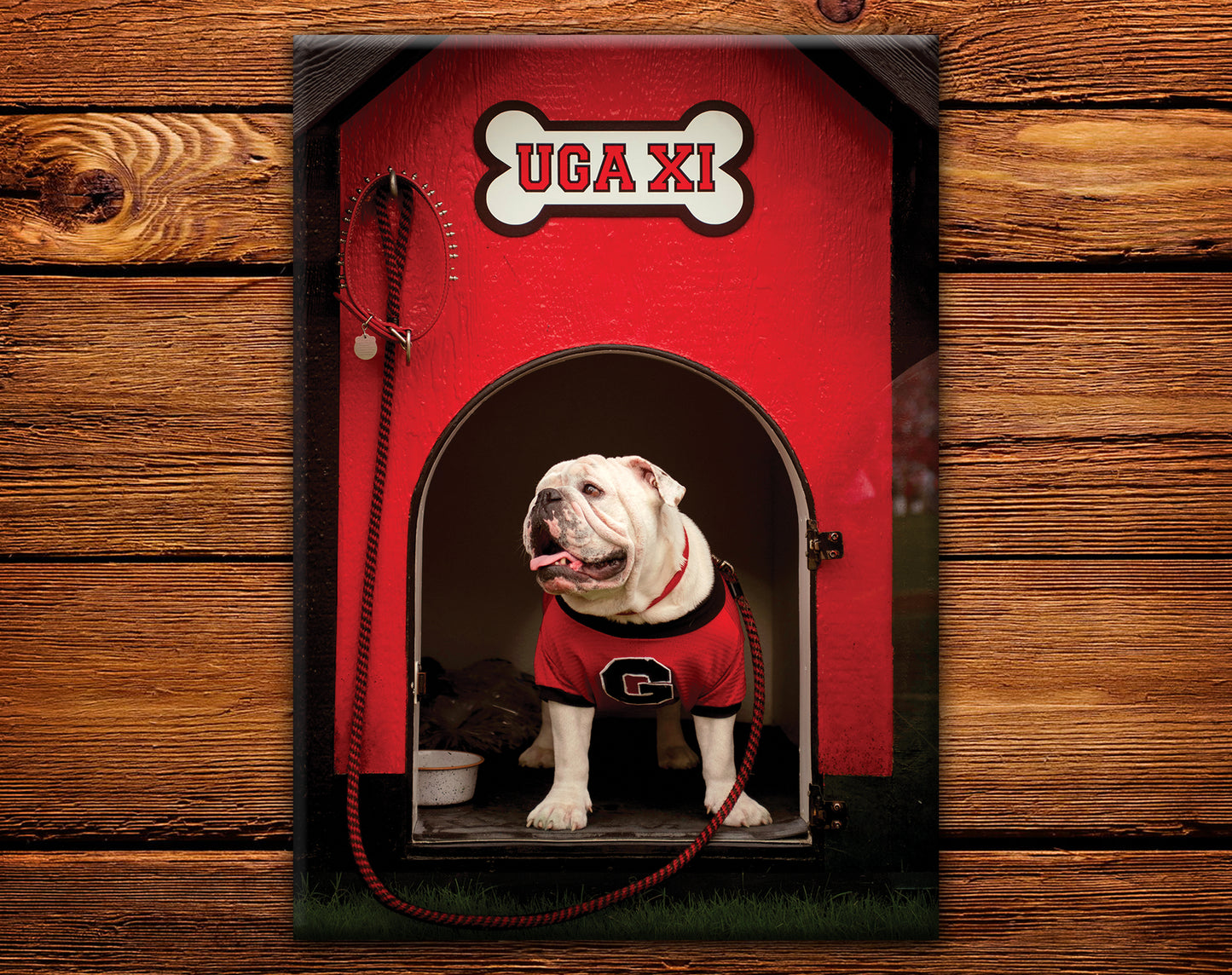Uga XI Boom Dawg House Mascot Fridge Magnet - Wholesale