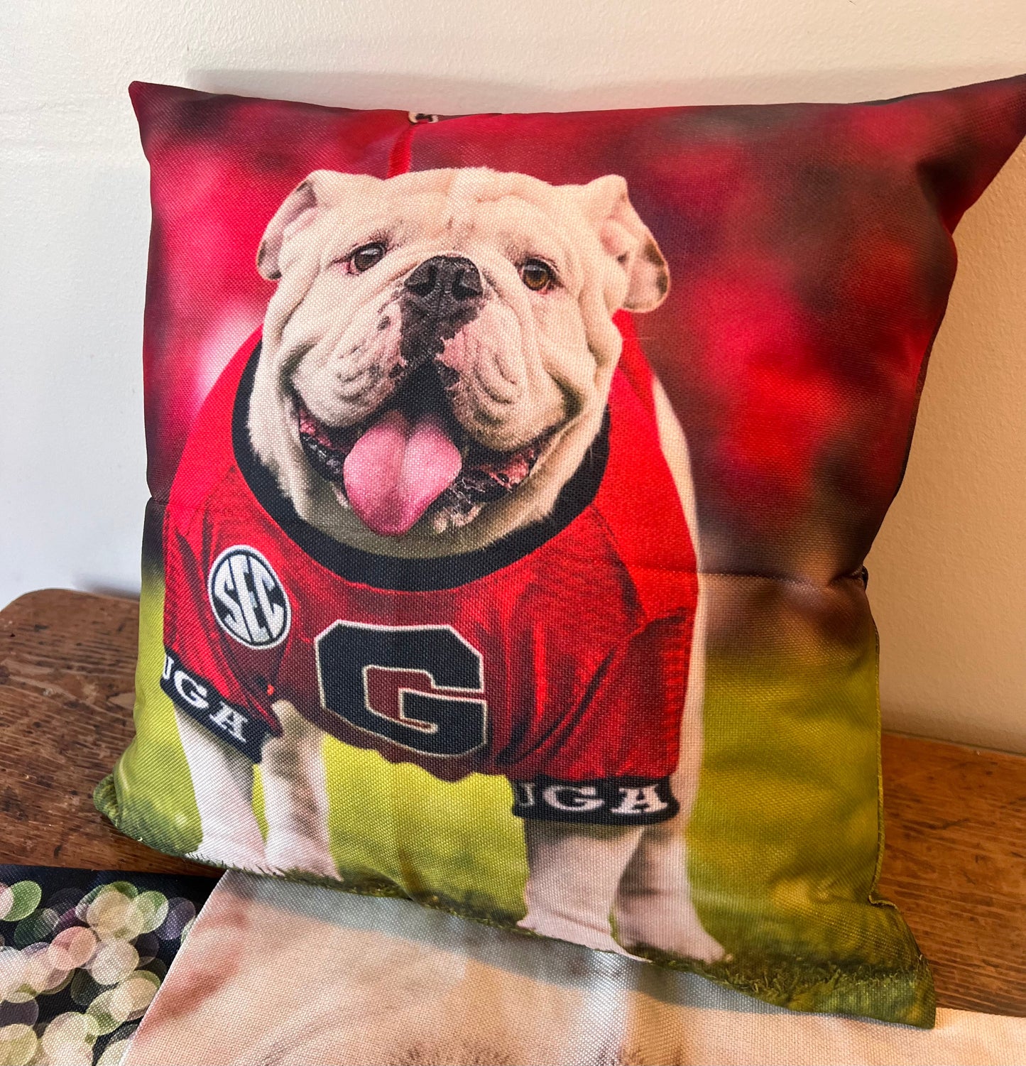 Uga X Mascot 18x18" Throw Pillow Cover - Indoor/Outdoor