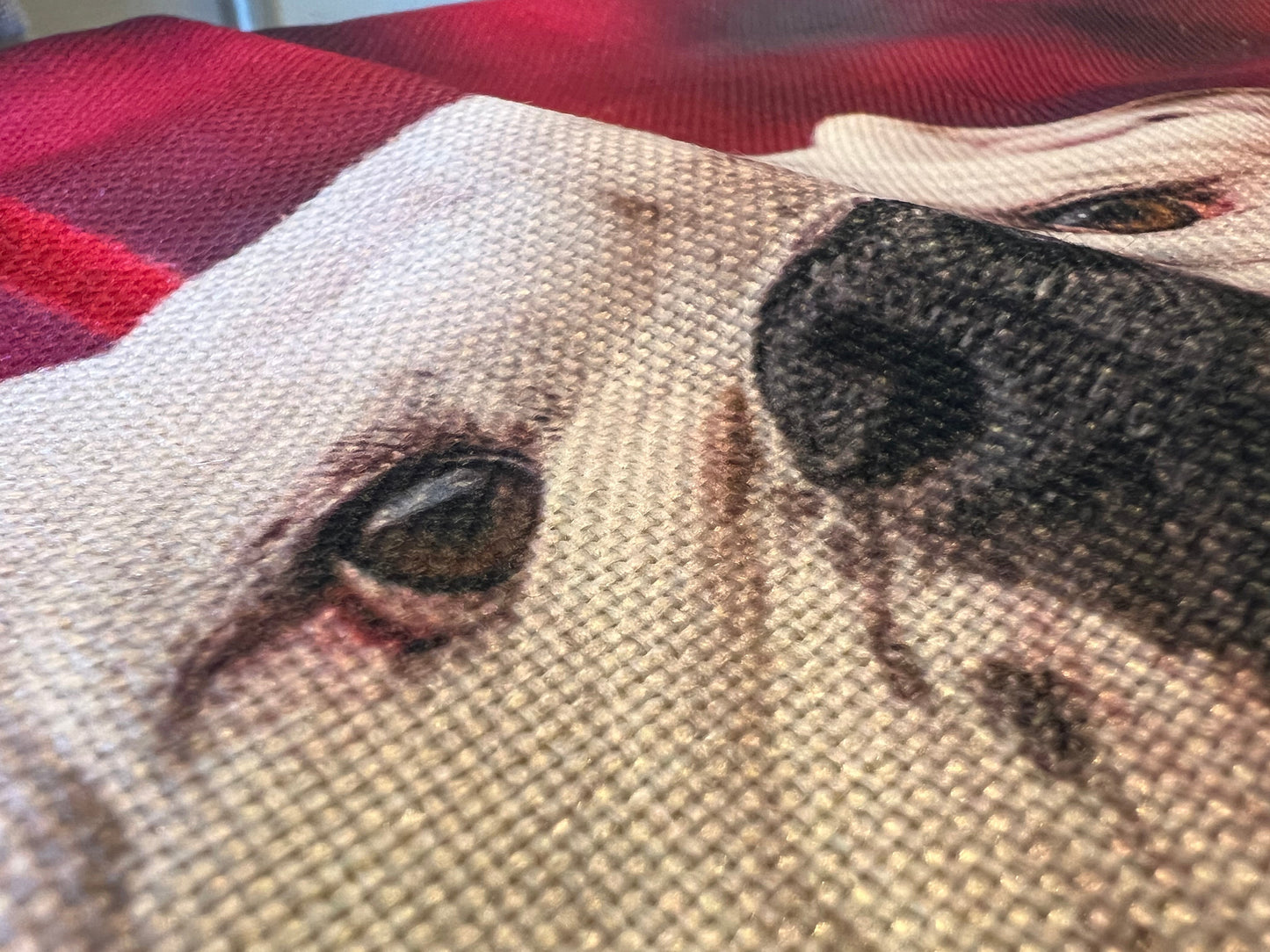 Uga X Mascot 18x18" Throw Pillow Cover - Indoor/Outdoor