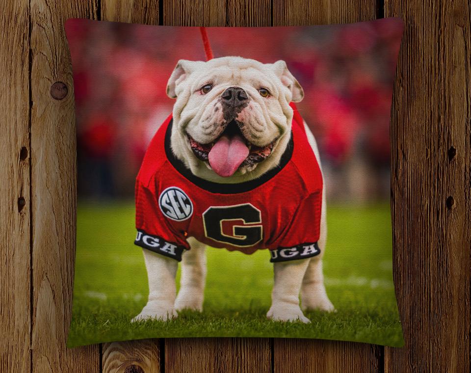 Uga X Mascot 18x18" Throw Pillow Cover - Indoor/Outdoor