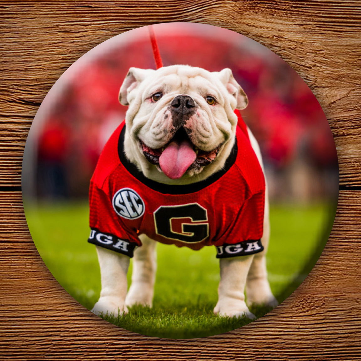 Uga X Mascot 3" Pin-Back Button - Georgia Bulldogs Wholesale