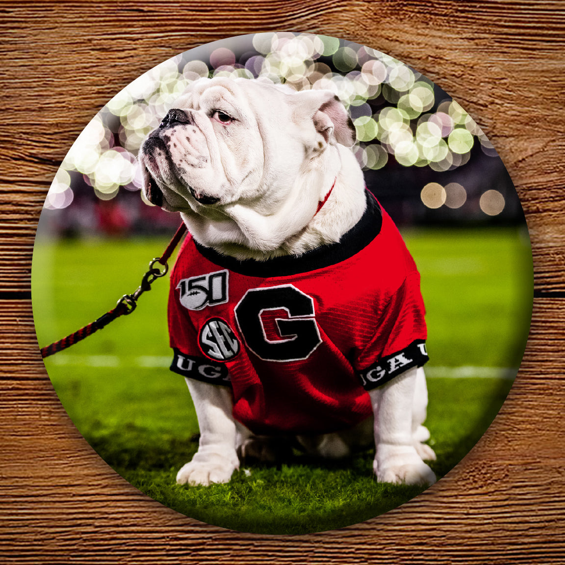 Uga X Under the LIghts 3" Pin-Back Button - Georgia Bulldogs Wholesale