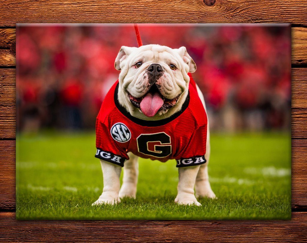 Uga X Mascot 2.5"x3.5" Fridge Magnet - Wholesale - WRIGHT PHOTO