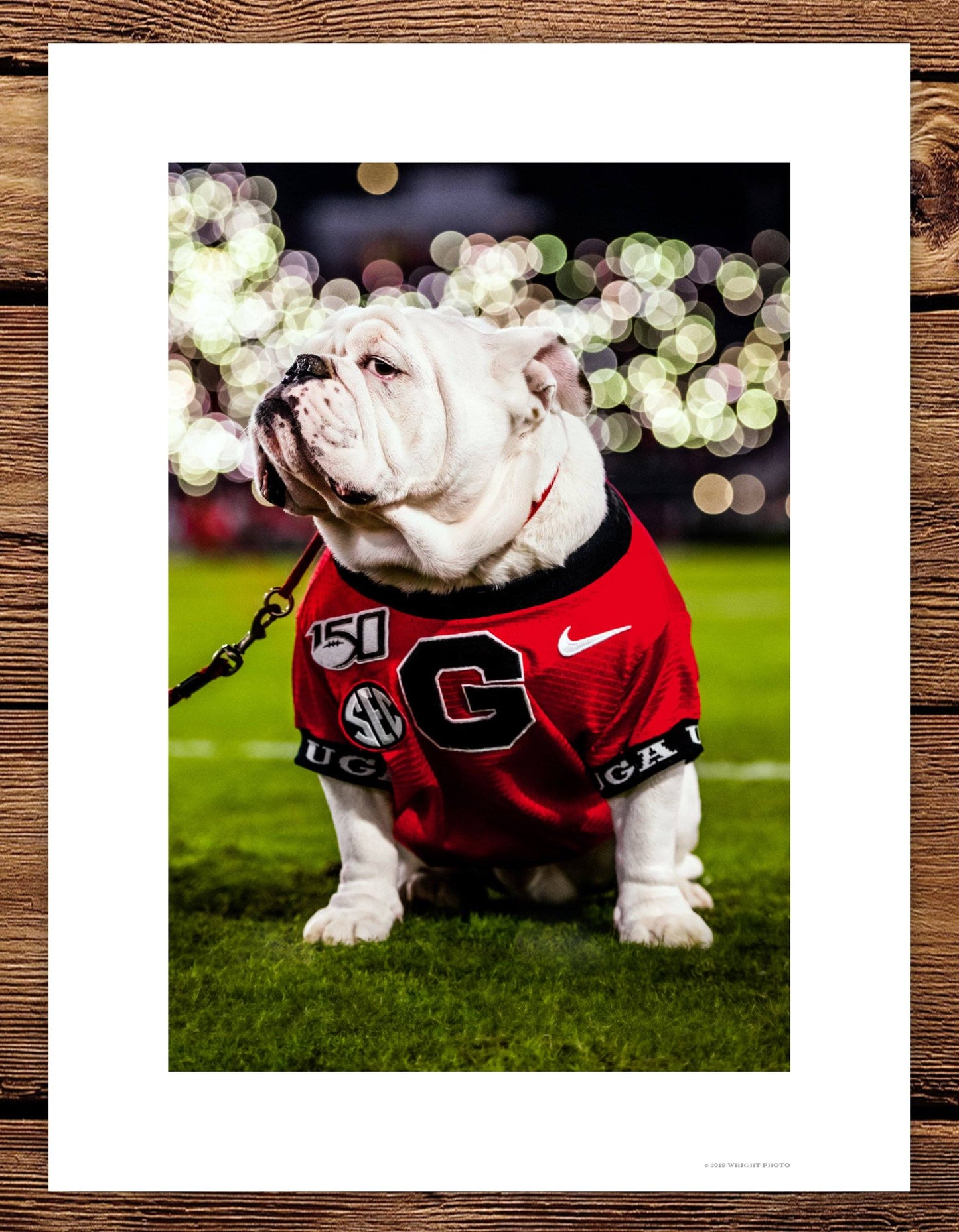 Uga X Under the Lights Mascot Art Poster Print - Wholesale - Wright Photo