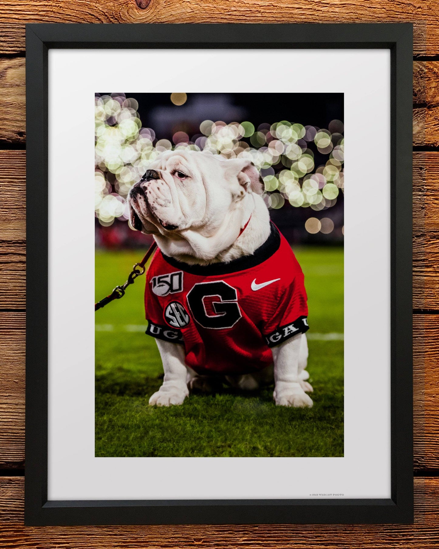 Uga X Under the Lights Mascot Art Poster Print - Wholesale - Wright Photo
