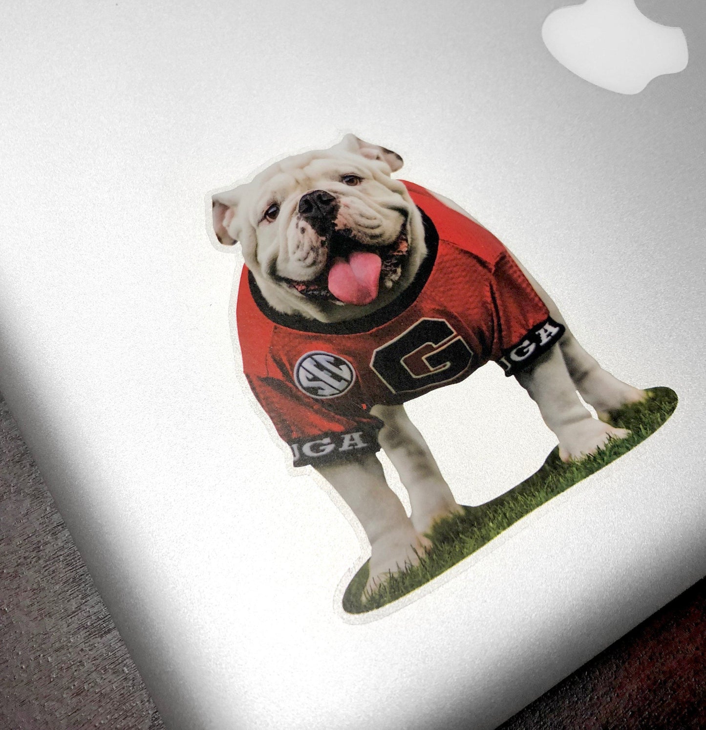 Uga X Mascot - 4" Die Cut Premium UV Vinyl Photo Sticker Decal - Wholesale - WRIGHT PHOTO