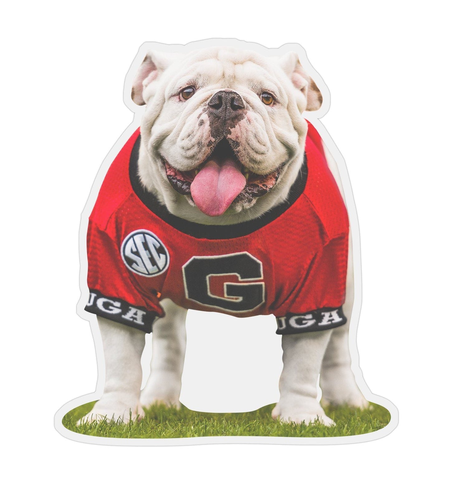 Uga X Mascot - 4" Die Cut Premium UV Vinyl Photo Sticker Decal - Wholesale - WRIGHT PHOTO