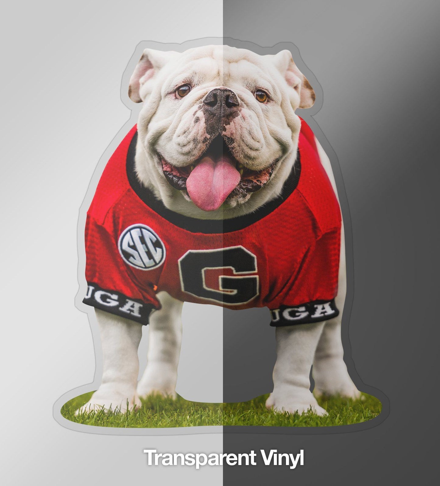 Uga X Mascot - 4" Die Cut Premium UV Vinyl Photo Sticker Decal - Wholesale - WRIGHT PHOTO
