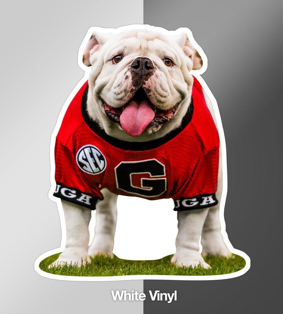Uga X Mascot - 4" Die Cut Premium UV Vinyl Photo Sticker Decal - Wholesale - WRIGHT PHOTO