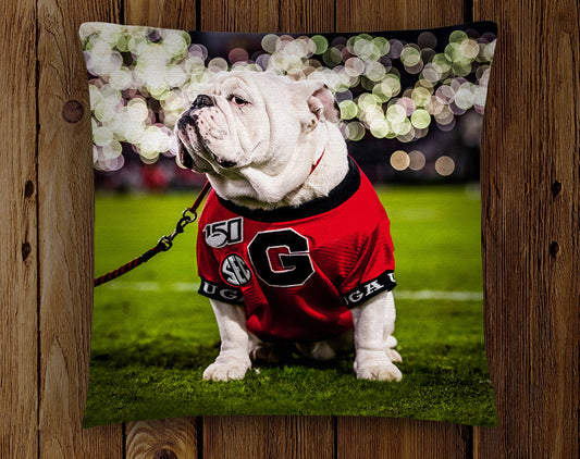 Uga X Under the Lights Mascot 18x18" Throw Pillow Cover - Indoor/Outdoor