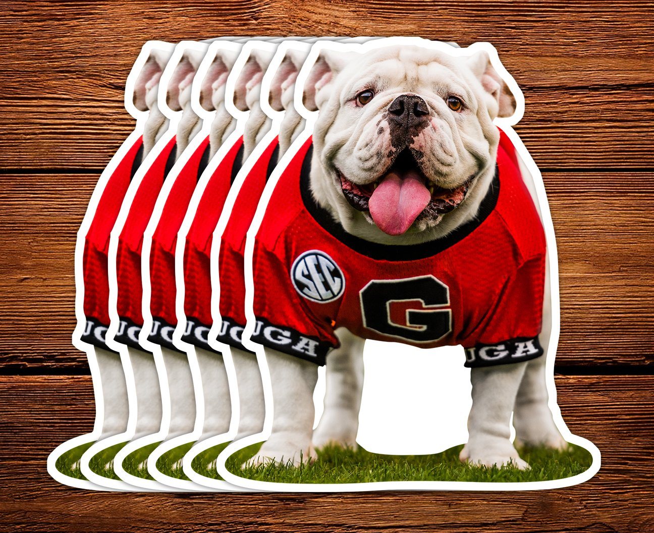 Uga X Mascot 3" Die-Cut Mini Sticker - Wholesale Display Refills - WRIGHT PHOTO