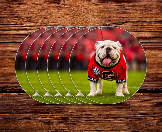 Uga X Mascot 3" Circle Mini Sticker - Wholesale Display Refills - WRIGHT PHOTO