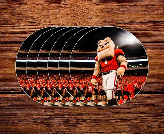 Hairy Dawg Mascot 3" Circle Mini Sticker - Wholesale Display Refills - WRIGHT PHOTO