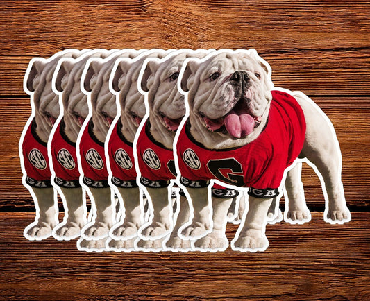 Uga X Endzone Mascot 3" Die-Cut Mini Sticker - Wholesale Display Refills - WRIGHT PHOTO