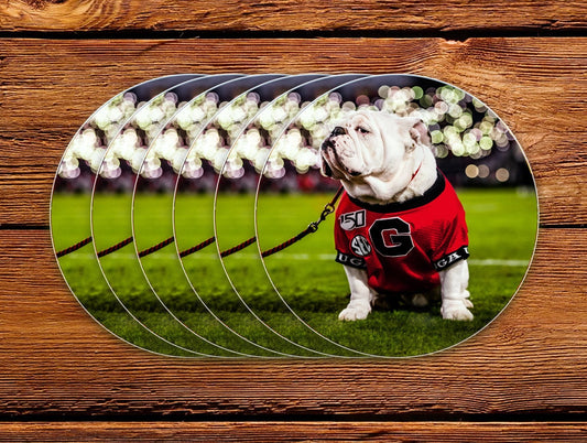 Uga X Under the Lights 3" Circle Mini Sticker - Wholesale Display Refills - WRIGHT PHOTO