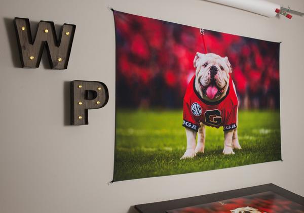 Uga X Mascot Tapestry Wall Art - 2XL - Wholesale - Wright Photo