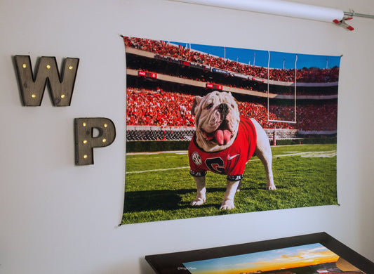 Uga X in the Endzone Tapestry Wall Art - 2XL - Wholesale - Wright Photo