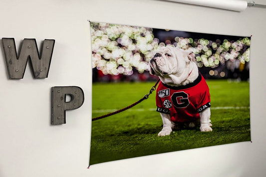 Uga X Under the Lights Tapestry Wall Art - 2XL - Wholesale - Wright Photo